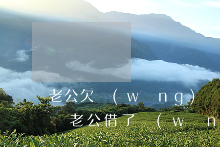 老公欠網(wǎng)貸還不起了影響老婆嗎(老公借了網(wǎng)貸還不上老婆有責(zé)任嗎)