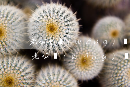 老公欠網(wǎng)貸還了還能過日子么(老公網(wǎng)貸還不了,我該怎么辦)