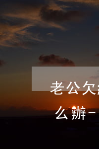 老公欠網(wǎng)貸還出兩孩子還小怎么辦-老公欠網(wǎng)貸離婚后孩子怎么辦
