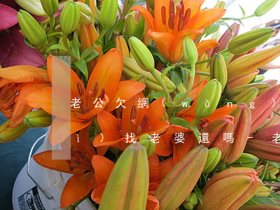 老公欠網(wǎng)貸離婚后還會(huì)找老婆還嗎-老公欠網(wǎng)貸離婚后還會(huì)找老婆還嗎知乎