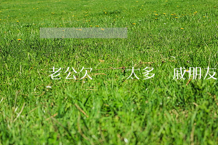 老公欠網貸太多親戚朋友另眼相看