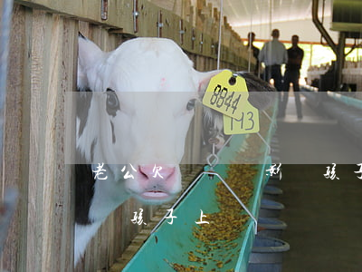 老公欠網貸會影響孩子嗎(老公欠網貸不還影響孩子上學嗎)