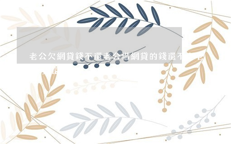 老公欠網貸錢不還(老公借網貸的錢還不上老婆要還嗎)