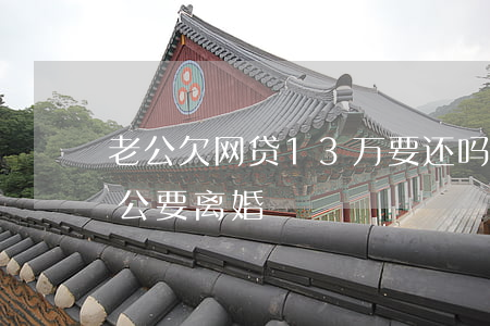 老公欠网贷13万要还吗(网贷欠了17万老公要离婚)