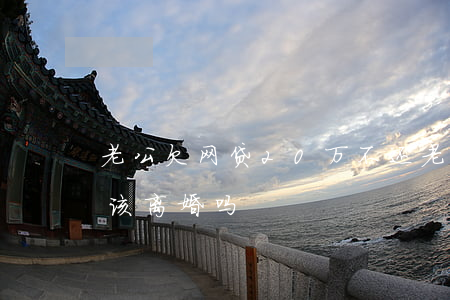 老公欠网贷20万不还(老公负债20万网贷该离婚吗)