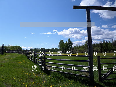 老公欠网贷5000元算巨额吗-老公欠网贷5000元算巨额吗知乎