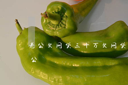 老公欠网贷三十万(欠网贷二十万不想连累老公)