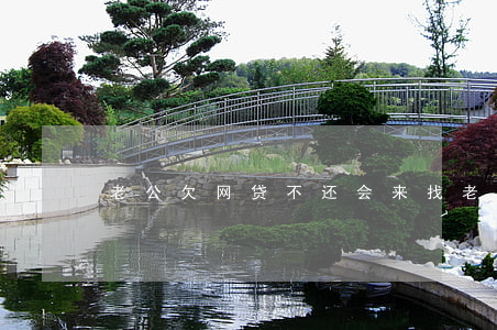 老公欠网贷不还会来找老婆吗(老公欠了网贷)