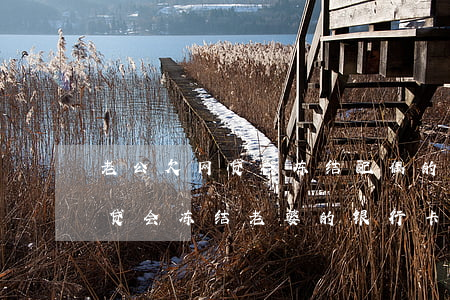 老公欠网贷会冻结配偶的股票吗-老公欠网贷会冻结老婆的银行卡吗