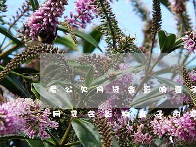 老公欠网贷会影响妻子的信用卡吗-老公欠网贷会影响妻子的信用卡吗知乎