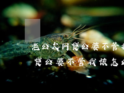 老公欠网贷公婆不管我该怎么办-老公欠网贷公婆不管我该怎么办呢