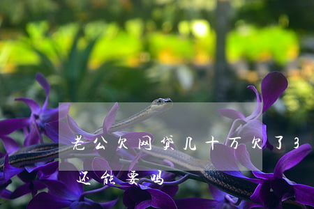 老公欠网贷几十万(欠了30多万的网贷老公还能要吗)