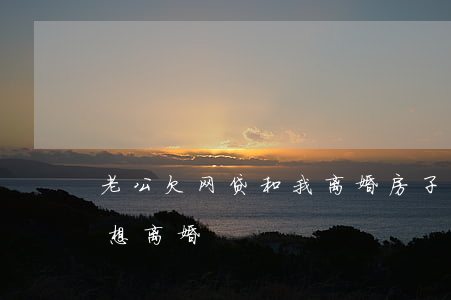 老公欠网贷和我离婚房子归我(妻子欠网贷我想离婚)