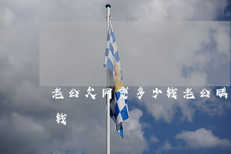 老公欠网贷多少钱(老公瞒着我网贷欠了很多钱)
