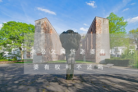 老公欠网贷老婆有权利不还吗(老公欠网贷老婆有权利不还吗)