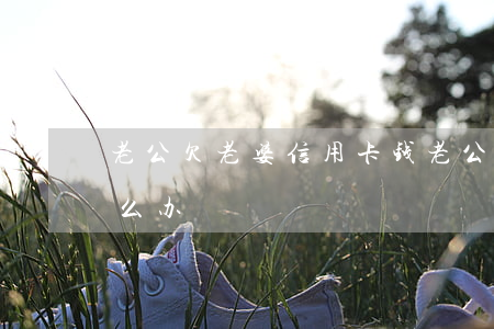 老公欠老婆信用卡钱(老公欠老婆信用卡钱怎么办)