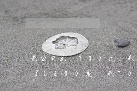 老公欠花唄700元給我還(為什么我花唄還了1200就給我700)