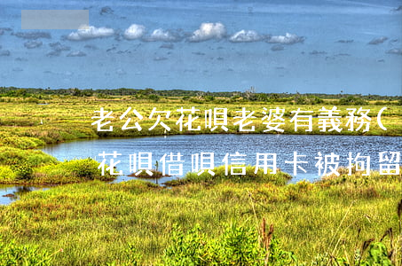 老公欠花唄老婆有義務(wù)還嗎(老公欠花唄借唄信用卡被拘留了沒錢還,會涉及老婆嗎?)