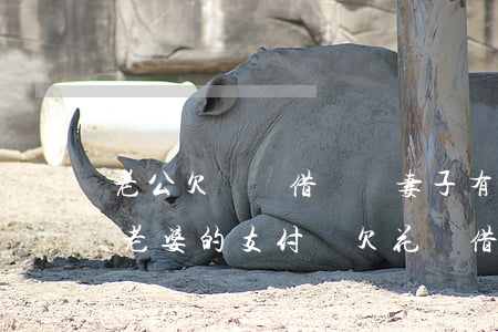 老公欠螞蟻借唄與妻子有關(guān)嗎(老婆的支付寶欠花唄借唄會影響丈夫嗎)