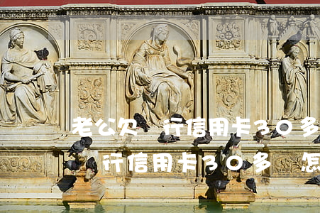 老公欠銀行信用卡30多萬怎么辦-老公欠銀行信用卡30多萬怎么辦呢
