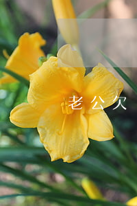 老公欠銀行信用卡錢