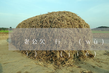 老公欠銀行債務(wù)起訴妻子會(huì)凍結(jié)嗎-老公欠銀行債務(wù)起訴妻子會(huì)凍結(jié)嗎怎么辦
