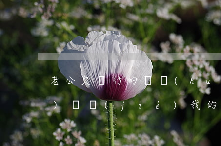老公欠銀行的錢會(huì)不會(huì)凍結(jié)我的資金-老公欠銀行的錢會(huì)不會(huì)凍結(jié)我的資金呢