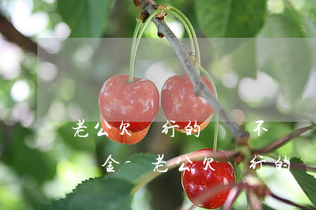 老公欠銀行的錢會不會凍結(jié)我的資金-老公欠銀行的錢會不會凍結(jié)我的資金呢
