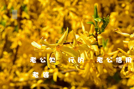 老公欠銀行的錢(老公信用卡欠款會不會連累老婆)