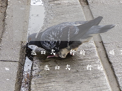 老公欠銀行的錢離婚了還有責(zé)任嗎-老公欠銀行的錢離婚了還有責(zé)任嗎怎么辦