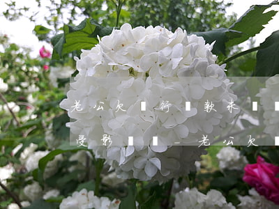老公欠銀行貸款未還對(duì)兒女老婆受影響嗎-老公欠銀行貸款未還對(duì)兒女老婆受影響嗎