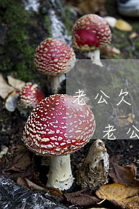 老公欠銀行貸款被起訴老婆余額寶會凍結嗎-老公欠銀行貸款被起訴老婆余額寶會凍結嗎