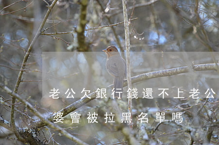 老公欠銀行錢還不上(老公欠銀行錢還不上老婆會被拉黑名單嗎)
