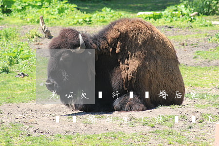 老公欠銀行錢離婚后要小孩還嗎(老公欠銀行錢離婚后要小孩還嗎怎么辦)