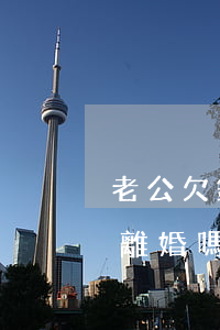 老公欠錢不還被起訴(老公欠錢被起訴了還能離婚嗎)