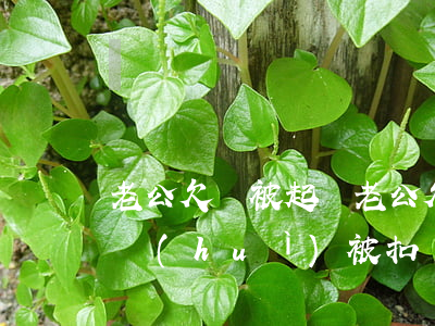 老公欠錢被起訴(老公欠錢被起訴,老婆名下車會(huì)被扣嗎?)