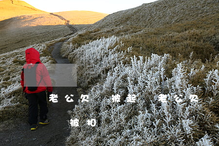老公欠錢被起訴(老公欠錢被起訴,老婆名下車會被扣嗎?)