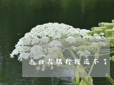 老公欠银行钱还不了