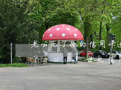 老公死了他的信用卡逾期了怎么辦-老公過(guò)世,欠信用卡債