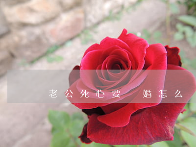 老公死心要離婚怎么辦(老公一心想離婚怎么辦)