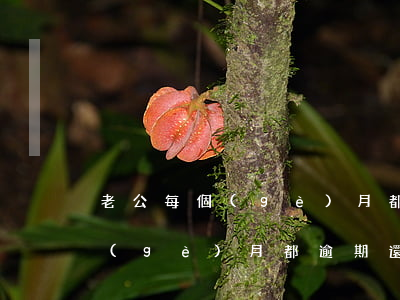 老公每個(gè)月都逾期還房貸(老公每個(gè)月都逾期還房貸)