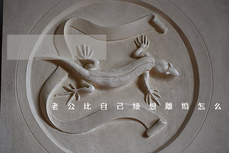 老公比自己矮想離婚怎么辦