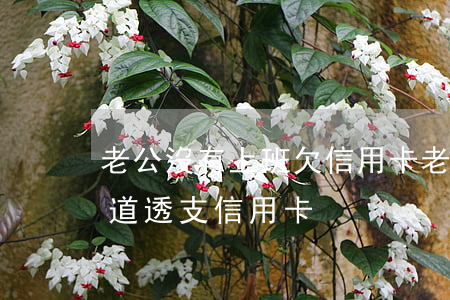 老公沒有上班欠信用卡(老公不上班掙錢,只知道透支信用卡)