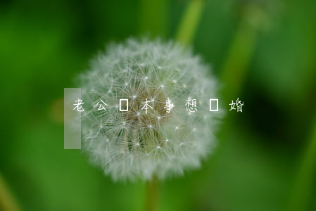 老公沒本事想離婚