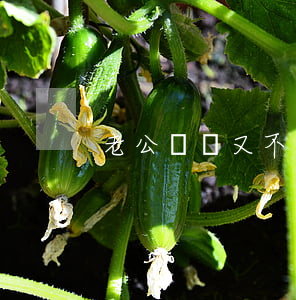 老公沒錢又不離婚怎么辦