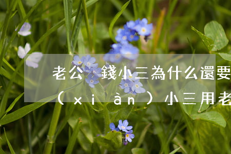 老公沒錢小三為什么還要跟他(發(fā)現(xiàn)小三用老公的錢)