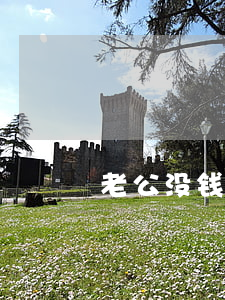 老公没钱又不离婚怎么办