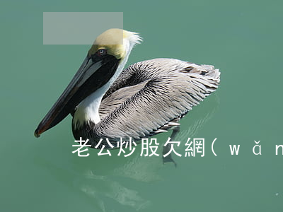 老公炒股欠網(wǎng)貸(老公炒股欠債)