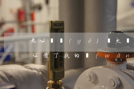 老公無業(yè)還欠網(wǎng)貸(老公借了我的網(wǎng)貸不還)
