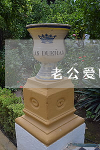 老公爱喝酒该离婚吗